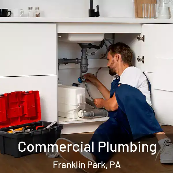  Commercial Plumbing Franklin Park, PA