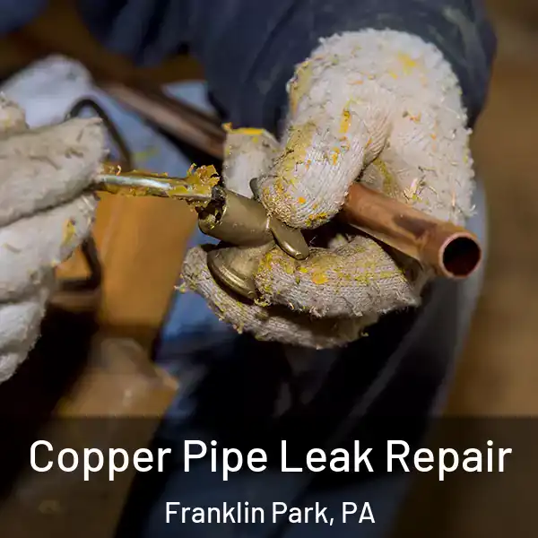  Copper Pipe Leak Repair Franklin Park, PA