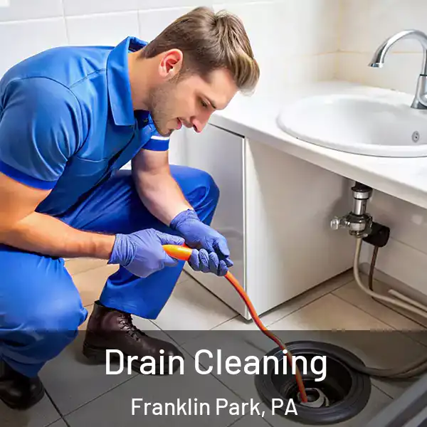  Drain Cleaning Franklin Park, PA