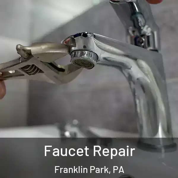  Faucet Repair Franklin Park, PA