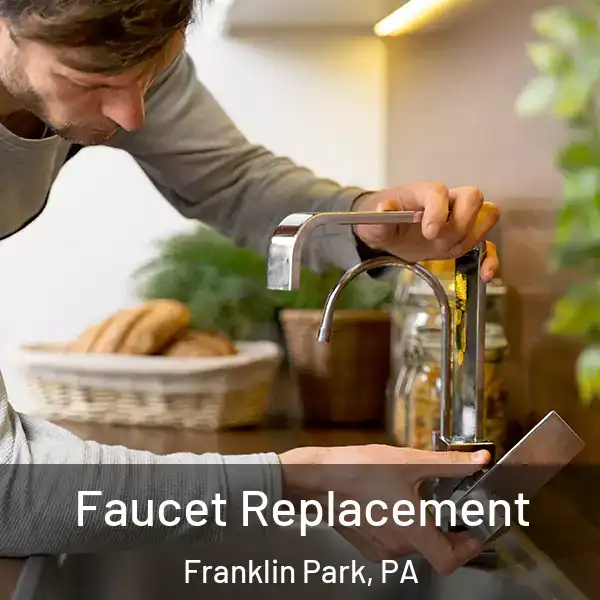  Faucet Replacement Franklin Park, PA