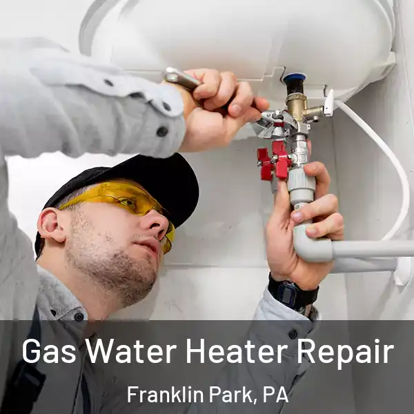  Gas Water Heater Repair Franklin Park, PA