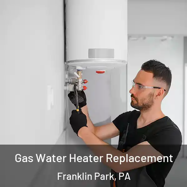  Gas Water Heater Replacement Franklin Park, PA