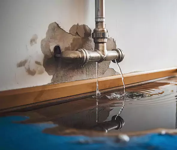 Professional Water Damage Restoration Experts in Franklin Park, PA — Fast, Reliable & Certified