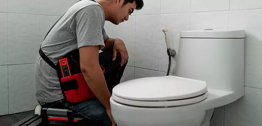 Toilet Repair in Franklin Park