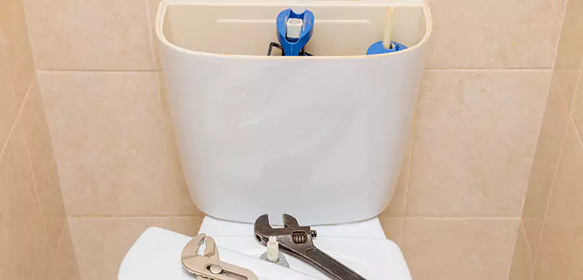 Upflush Toilet Installation in Franklin Park