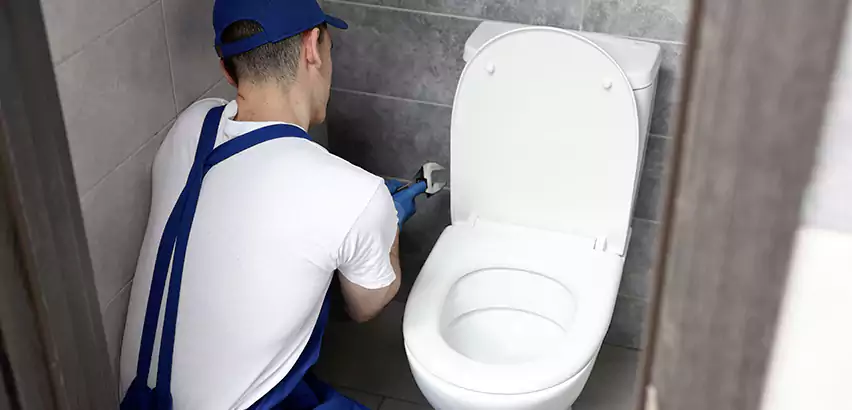 Toilet Lid Replacement in Franklin Park