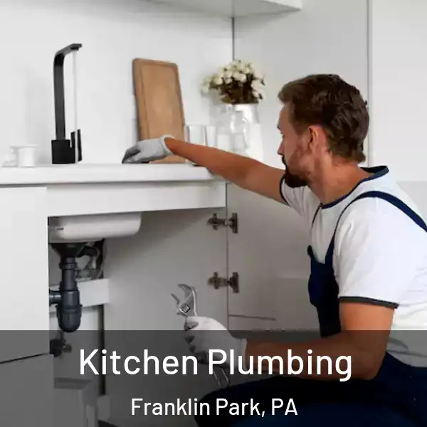  Kitchen Plumbing Franklin Park, PA