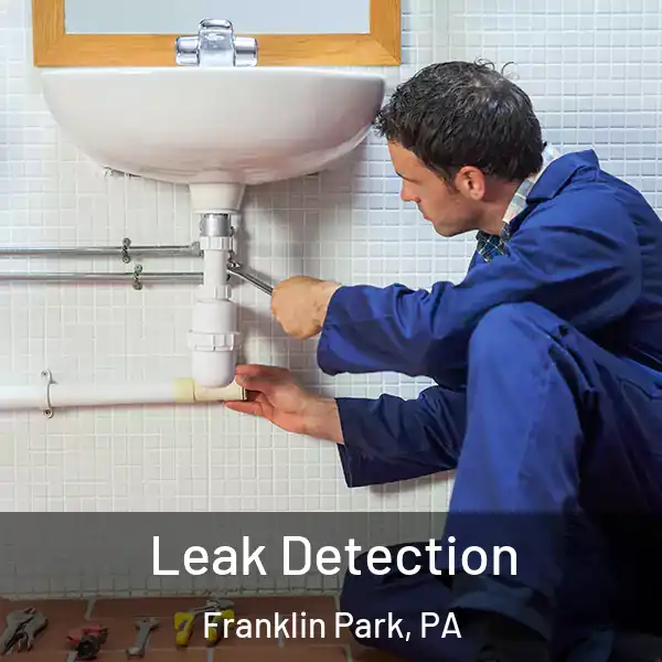  Leak Detection Franklin Park, PA