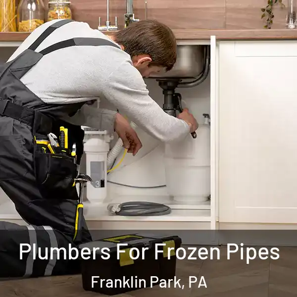  Plumbers For Frozen Pipes Franklin Park, PA