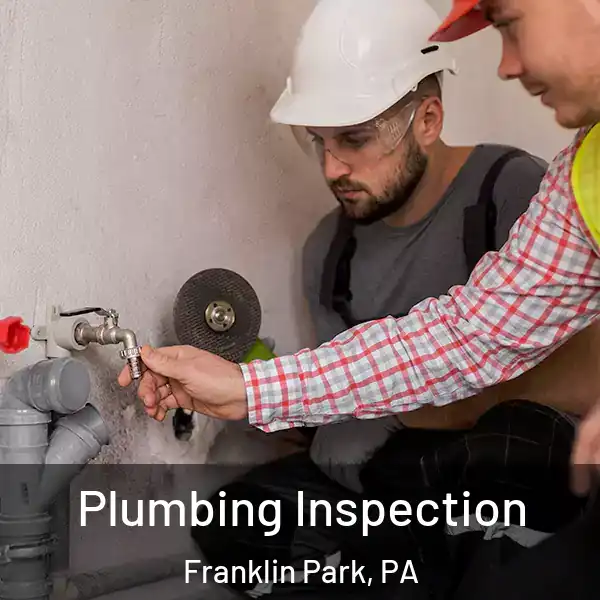  Plumbing Inspection Franklin Park, PA