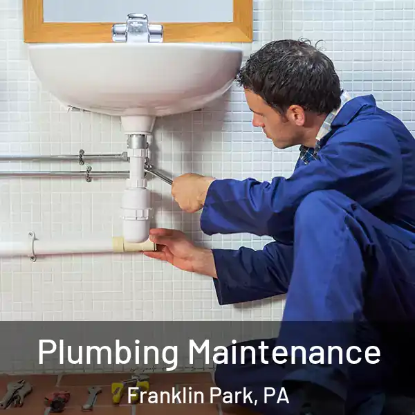  Plumbing Maintenance Franklin Park, PA