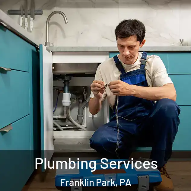 Plumbing Services Franklin Park, PA