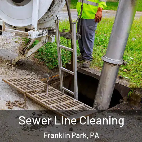  Sewer Line Cleaning Franklin Park, PA