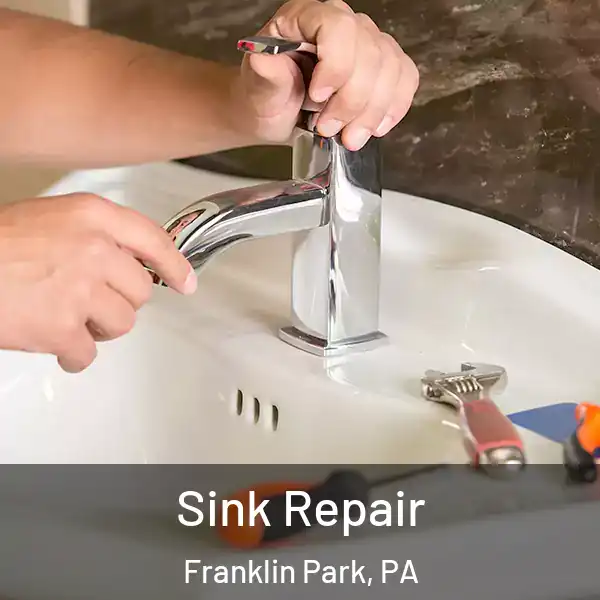  Sink Repair Franklin Park, PA
