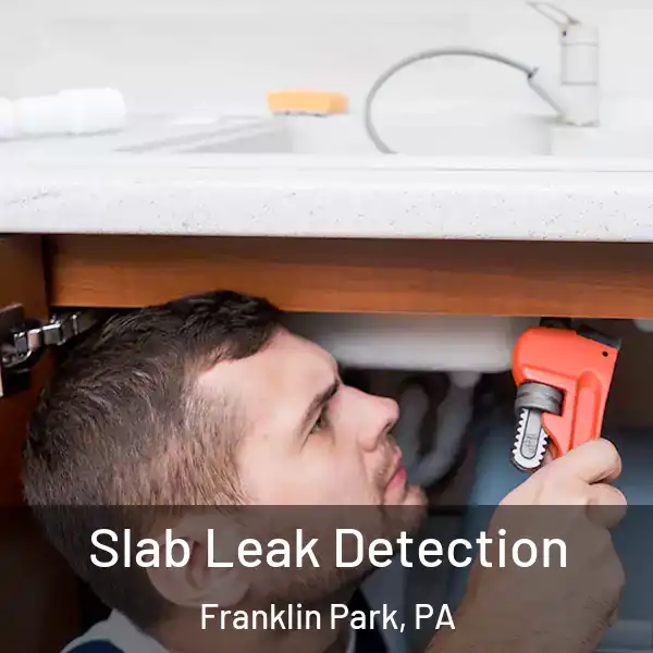  Slab Leak Detection Franklin Park, PA