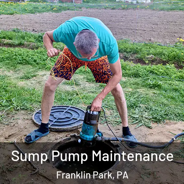  Sump Pump Maintenance Franklin Park, PA