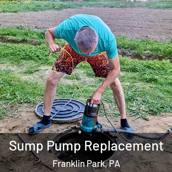  Sump Pump Replacement Franklin Park, PA