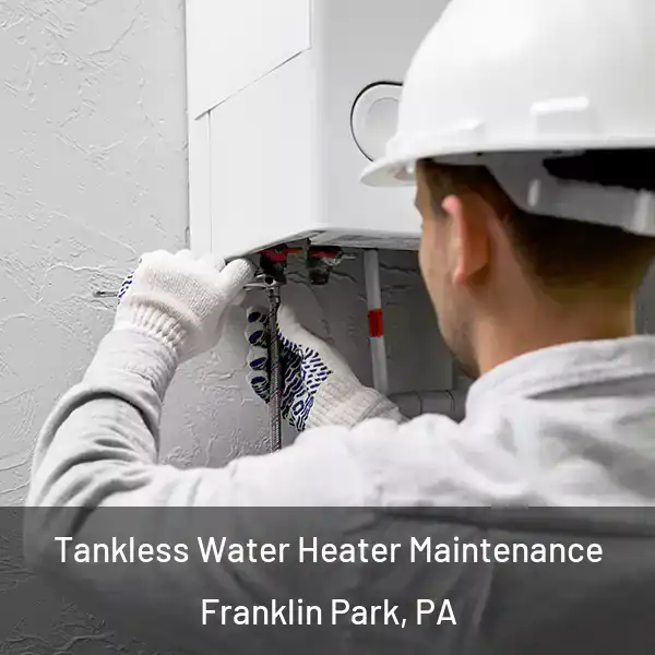  Tankless Water Heater Maintenance Franklin Park, PA