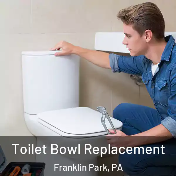  Toilet Bowl Replacement Franklin Park, PA