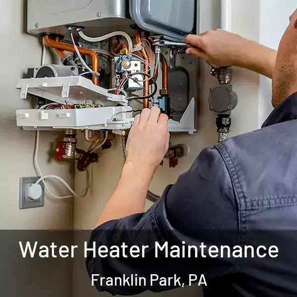  Water Heater Maintenance Franklin Park, PA