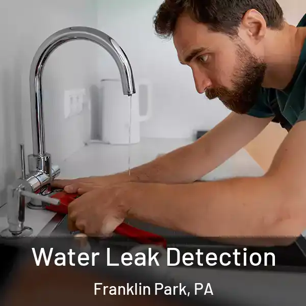  Water Leak Detection Franklin Park, PA