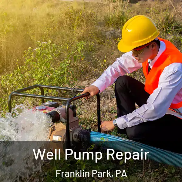  Well Pump Repair Franklin Park, PA